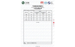 广东省微生物分析检测报告3